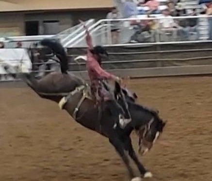 CPRA Bucking Action